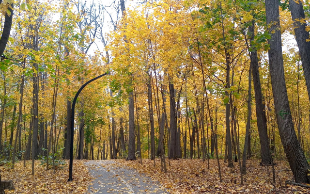 Апартаменты MyHomeUfa Lux на Шафиева