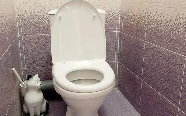 Квартира Уютная  Сталинка в центре города