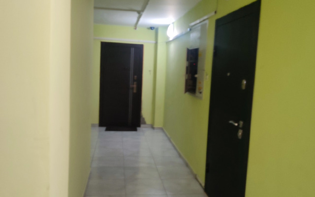 Квартира однушка как трёшка