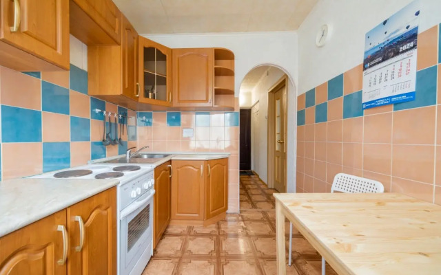 Odnokomnatnyye Passazhir 1 Apartments