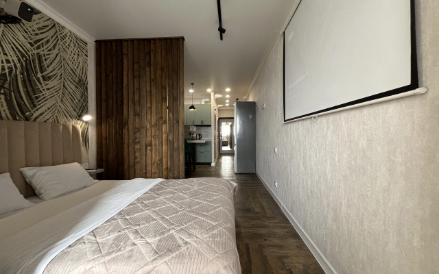 Апартаменты с проектором в самом центре на Береговой 73