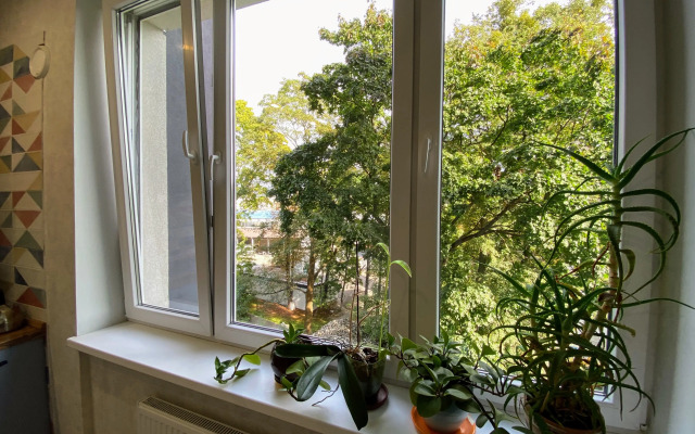 Квартира 2-комнaтная в истopичecкoй чacти гopода