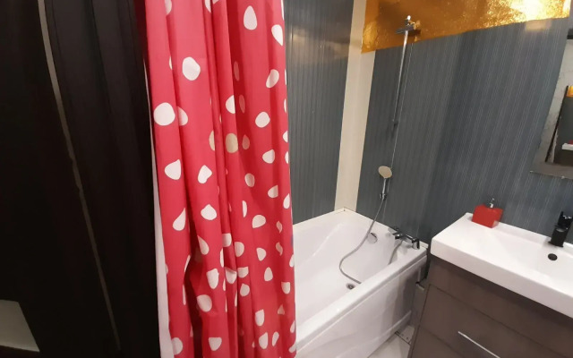 Апартаменты с 1 комнатой в центре города (Квартира51)