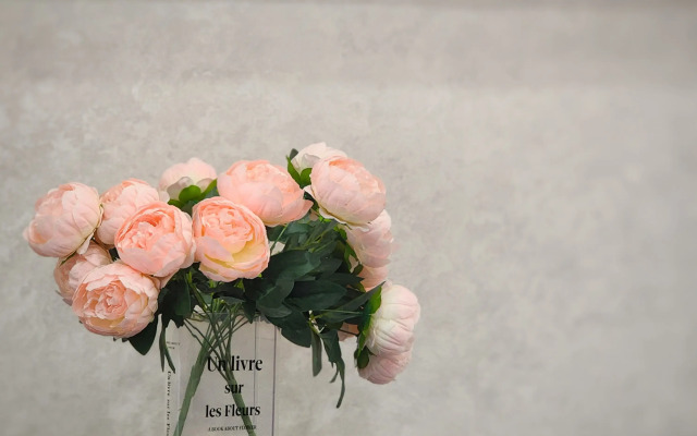 Studiya S Balkonom Apartments