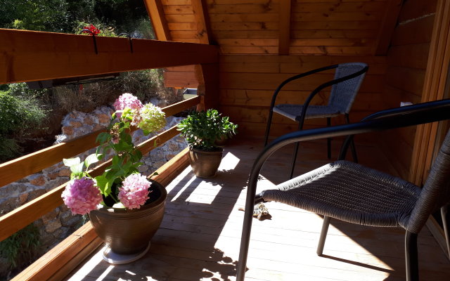 MashaDasha Guest House
