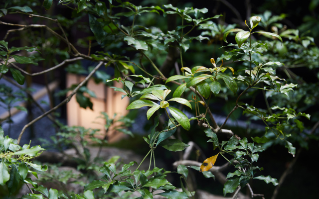 Вилла Washi No Yado