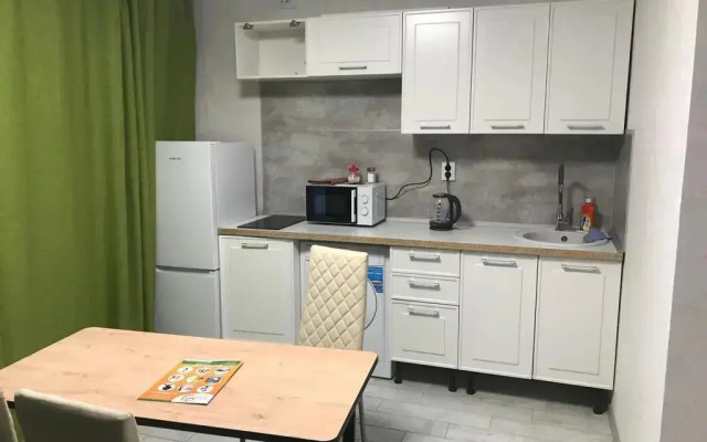 Studio na ulice Raketnaya 17 Apartments (4)