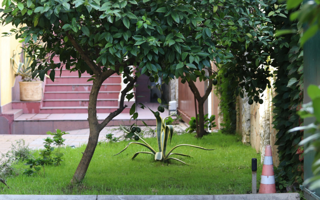 Paradiz Hotel