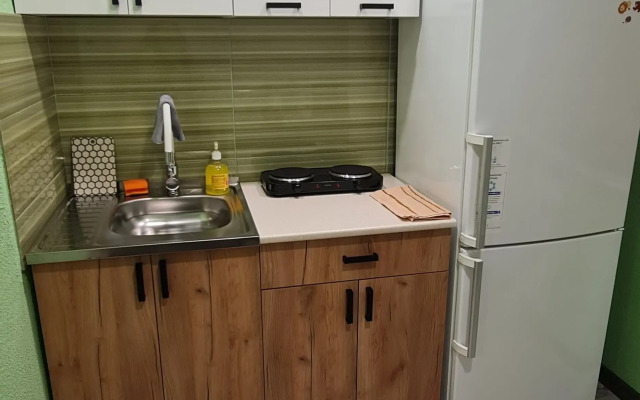 Odnokomnatnaya V Trekh Minutakh Ot Vokzala Flat
