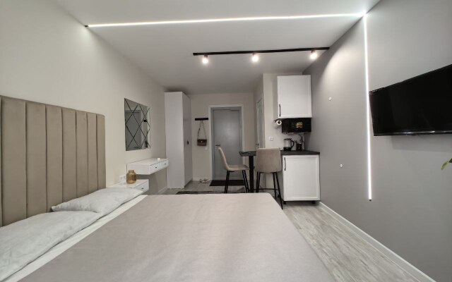 Апартаменты Студия 11/1