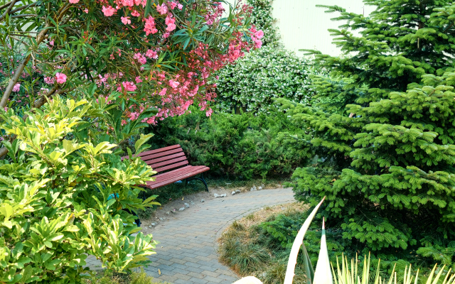 Park Gorkogo in the center Apartments