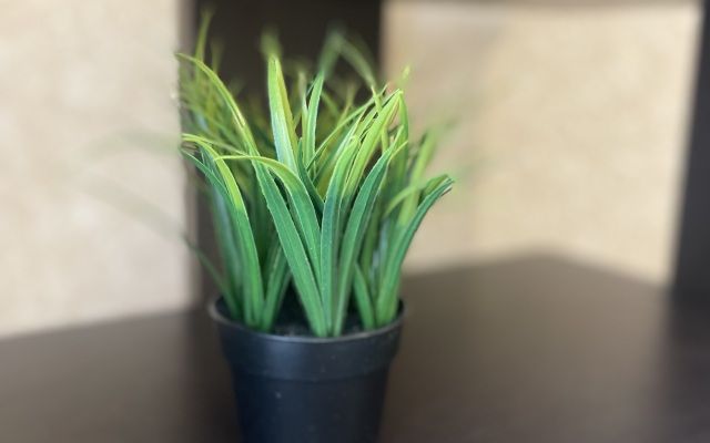 Апартаменты Рязань 31