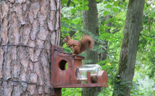 Гостевой Дом Фламинго