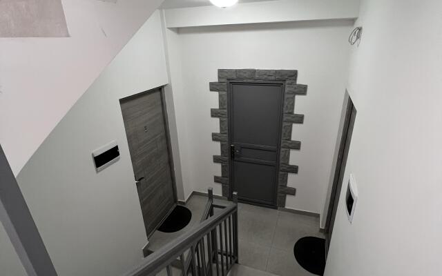 Comfort With Green Refreshing Interior Apartments