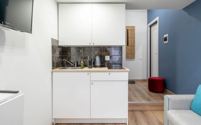 Studiya S Dizaynerskim Remontom V Centre Flat