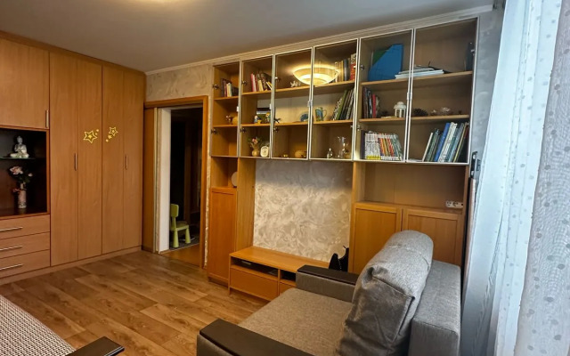 Uyutnaya Kvartira V Zelenom Dvore Apartments