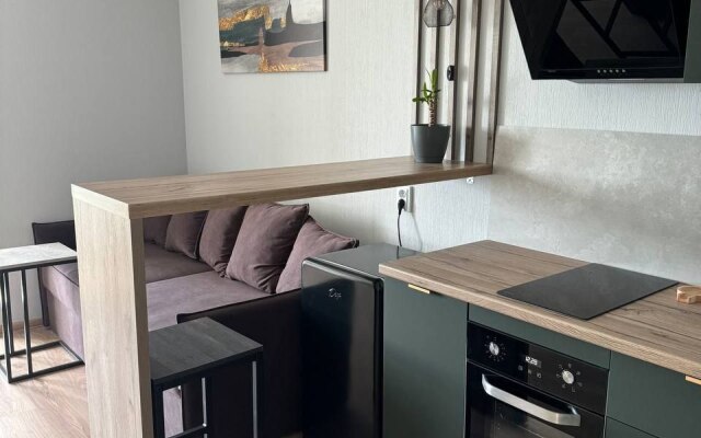 Studiya Loft V Zhk Biznes-Klassa Novokoltsovskiy Flat