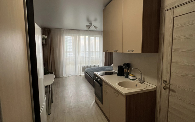Uyutnaya Studiya Flat