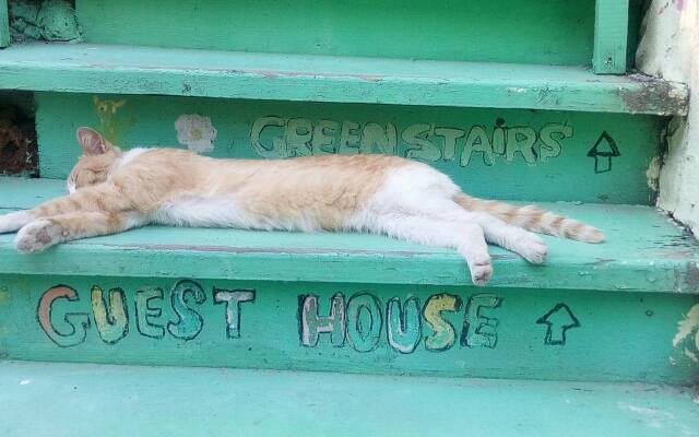 Green Stairs Guest house