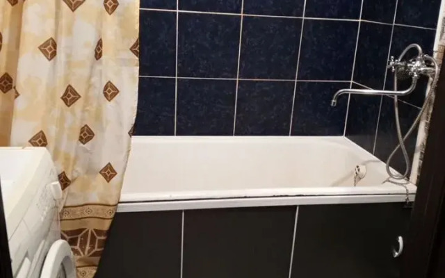 Na Ul. Uritskogo, 19a Flat