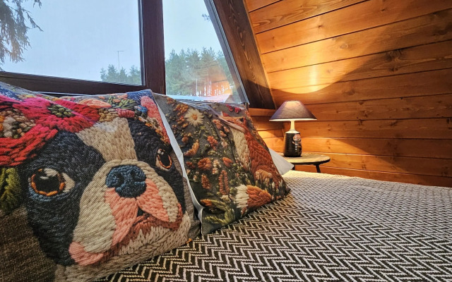 Частный дом темный А-фрейм