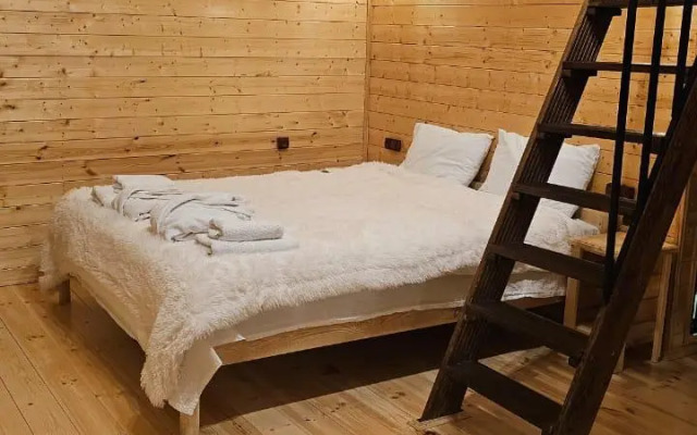 Mood villa kazbegi with tube Chalet