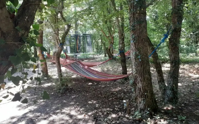 Paradise