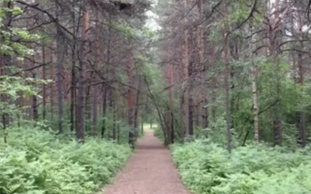 Квартира возле горы Уктус и Баден-Баден