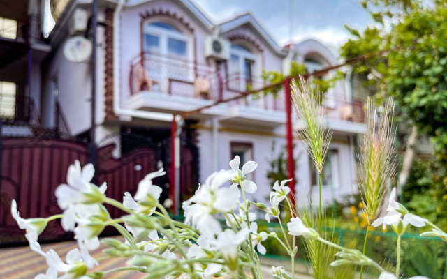Olga Guest House