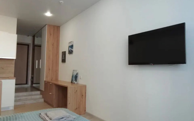 Апартаменты на Набережной Толстого, 41, номер 1