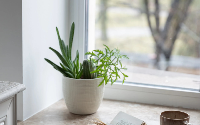 Апартаменты Theatral by Apartica