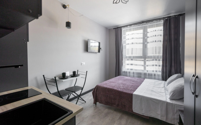 Studiya Na P. Romanova Apartments
