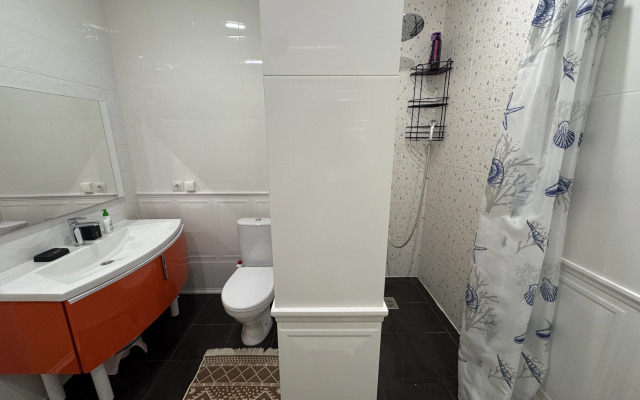 Mirror Apartment in Olympic Park Flat
