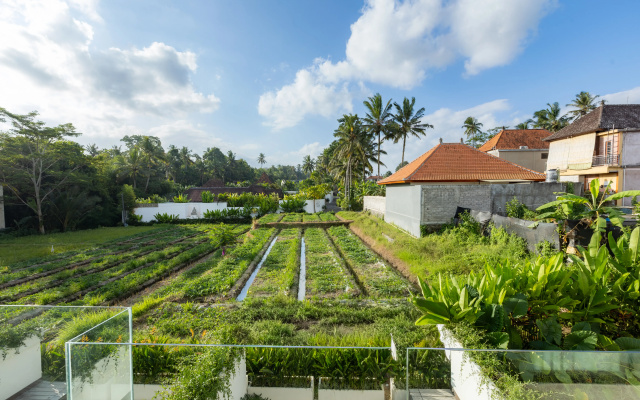 Отель Serenity Ubud by Betterplace