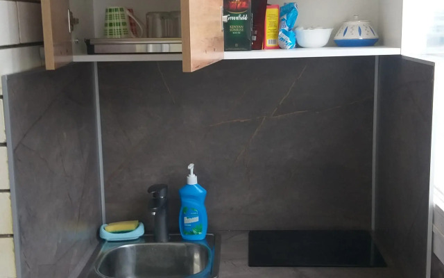 Studiya Na Pionerskom Prospekte 104-G Flat
