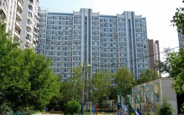 Snezhnye Apartments