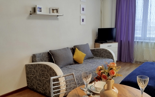 Апартаменты на 50 лет ВЛКСМ 13/2