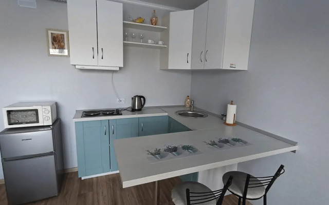 Tsentr. Bereg Reki Apartments