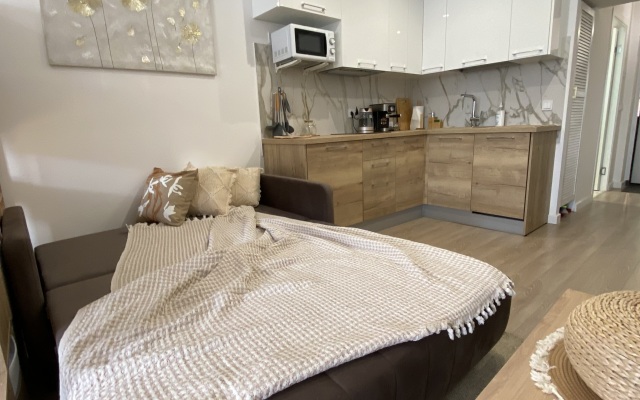 Apartamenty Studiya Skandi S Vidom Na Kreml