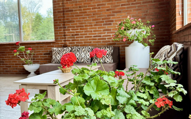 Hotel Park Hotel Atlas