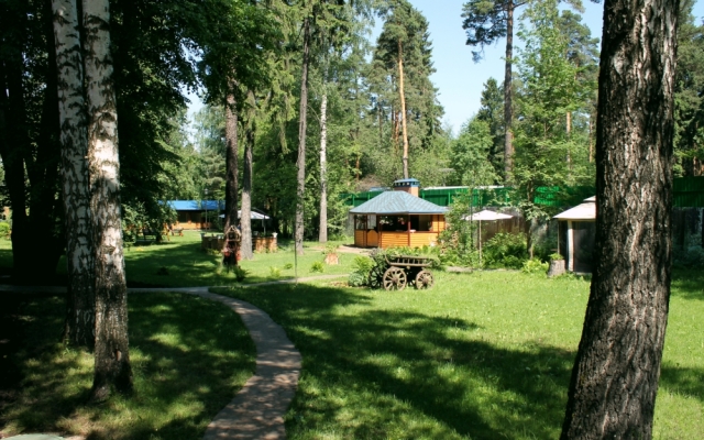 Pushkino Art Hotel