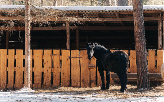 База отдыха Парк-отель Канжуль
