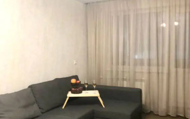 S Novym Remontom Apartments