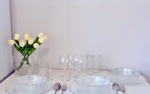 Stylish spacious near the center of Loginov Flat