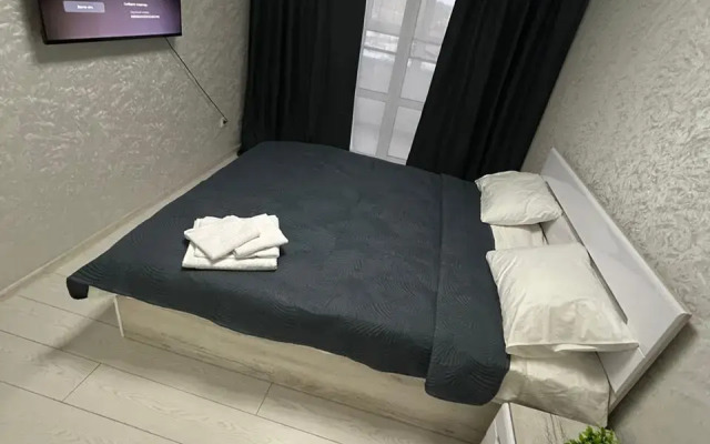 Avion Rodnye Berega Apartments