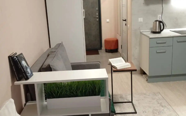 Квартира Уютная студия