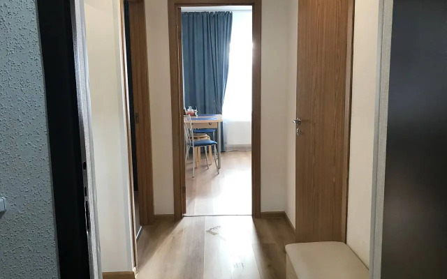 Квартира однокомнатная рядом с НИИ Петрова