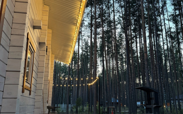 Частный дом Белый и сосны