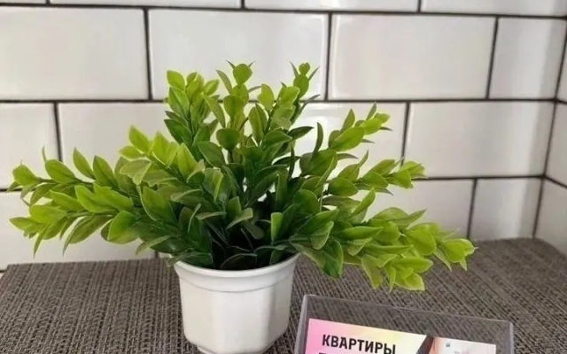 Квартира Уютная на Чудесной 3