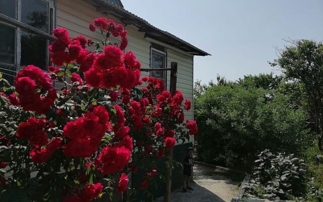 Гостевой дом Феличита